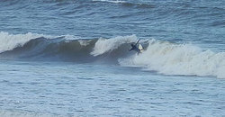 141008pm-eagle (1).jpg